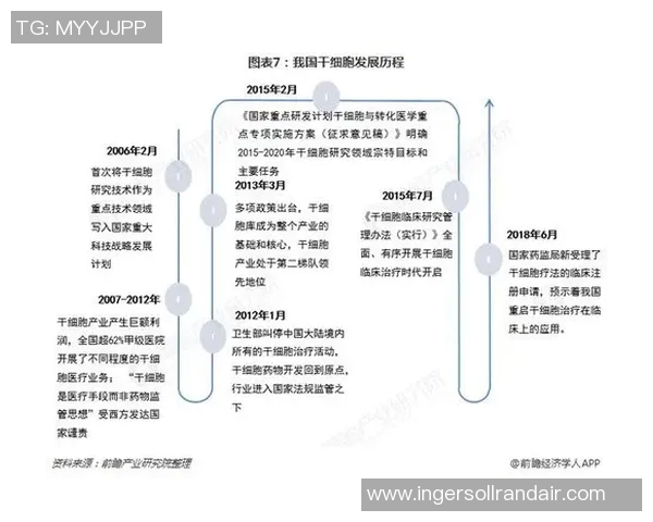 独家分析：西安排球队的团队协作与其他球队的深度对比研究