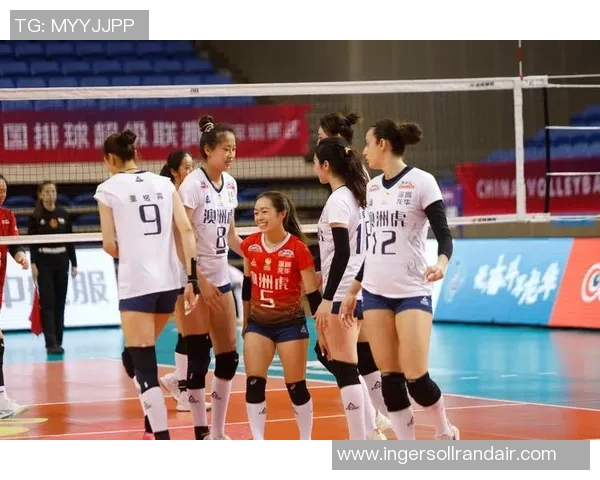 深圳排球队以64分领跑冠军赛积分榜展现强劲实力